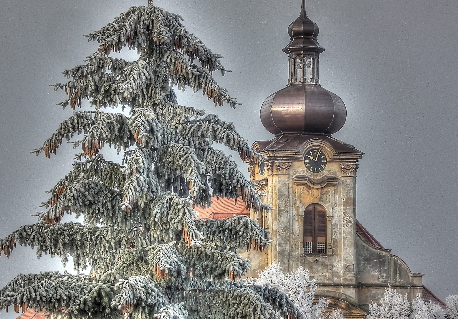 Vánoce 2014 v kostele sv. Anny v Sedleci